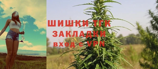 mdpv Козловка