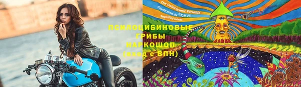 дурь Козельск